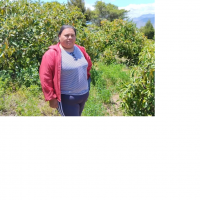 A typical example is Diana in the field of avocados in which she has uinvested her loan money